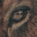 Tattoos - One Day As A Lion Half Sleeve - 52378